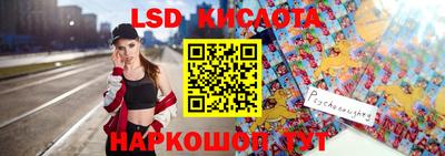 дмт Славгород