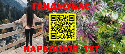 дмт Славгород