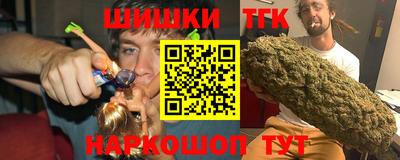 дмт Славгород