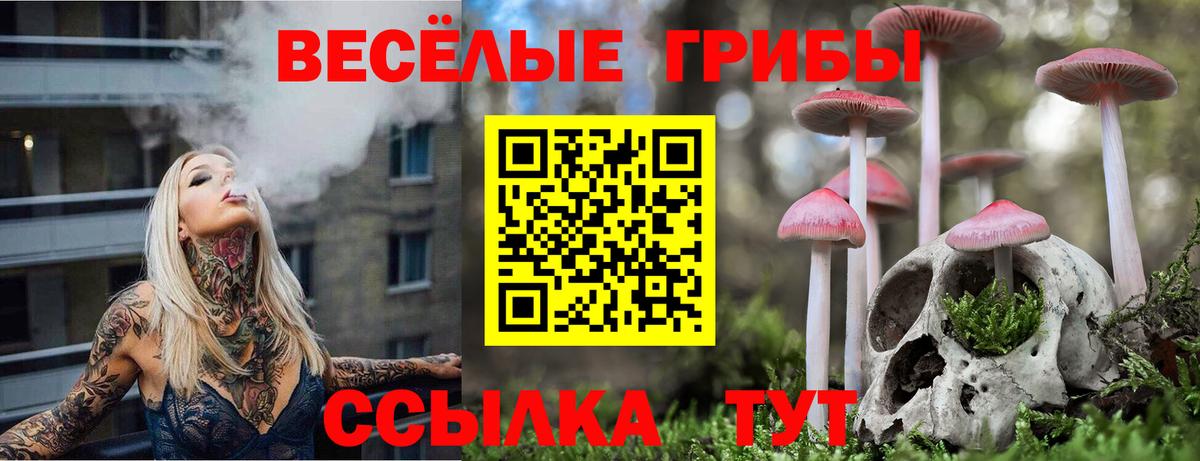 даркнет сайт  Псилоцибиновые грибы Psilocybe  Фролово  Вход с VPN  Галлюциногенные грибы Magic Shrooms 